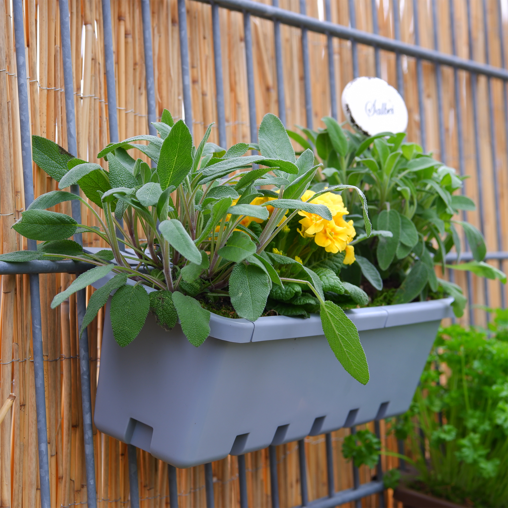 blumenkasten für kräuter auf dem balkon