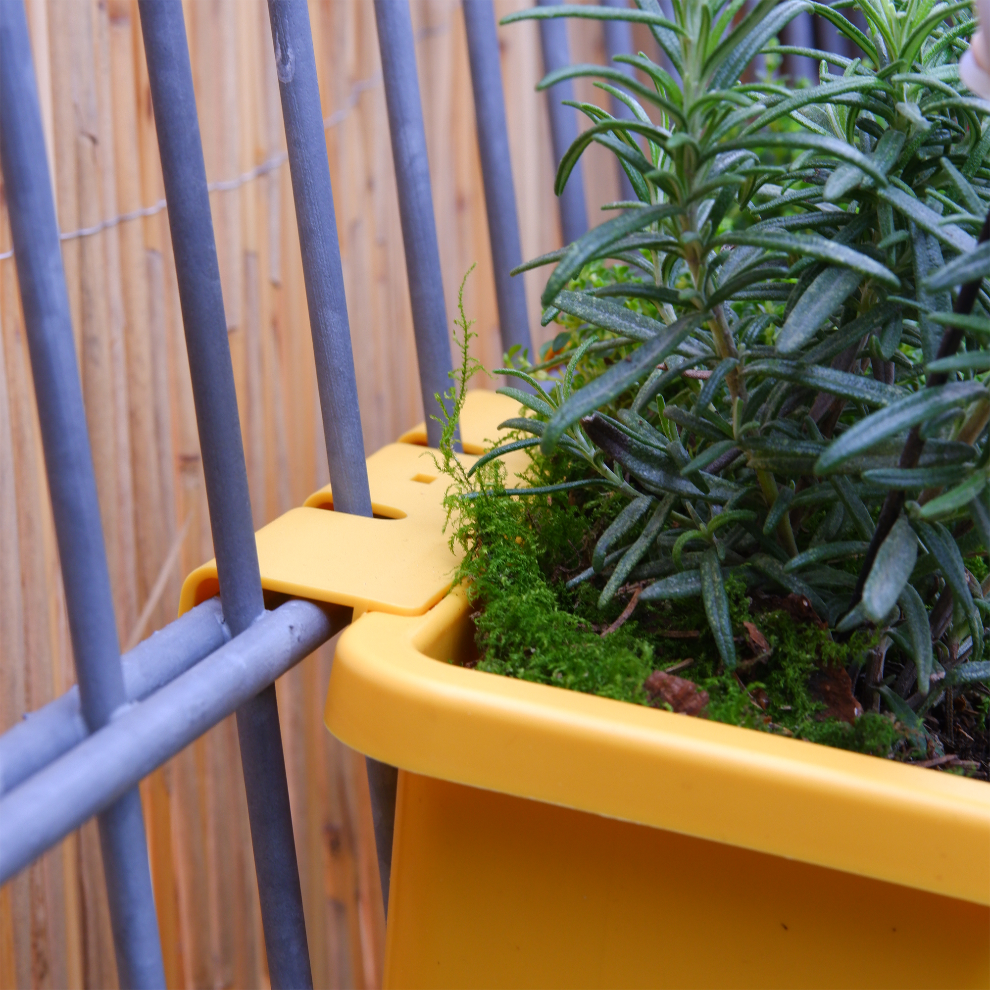 blumenkasten für kräuter auf dem balkon