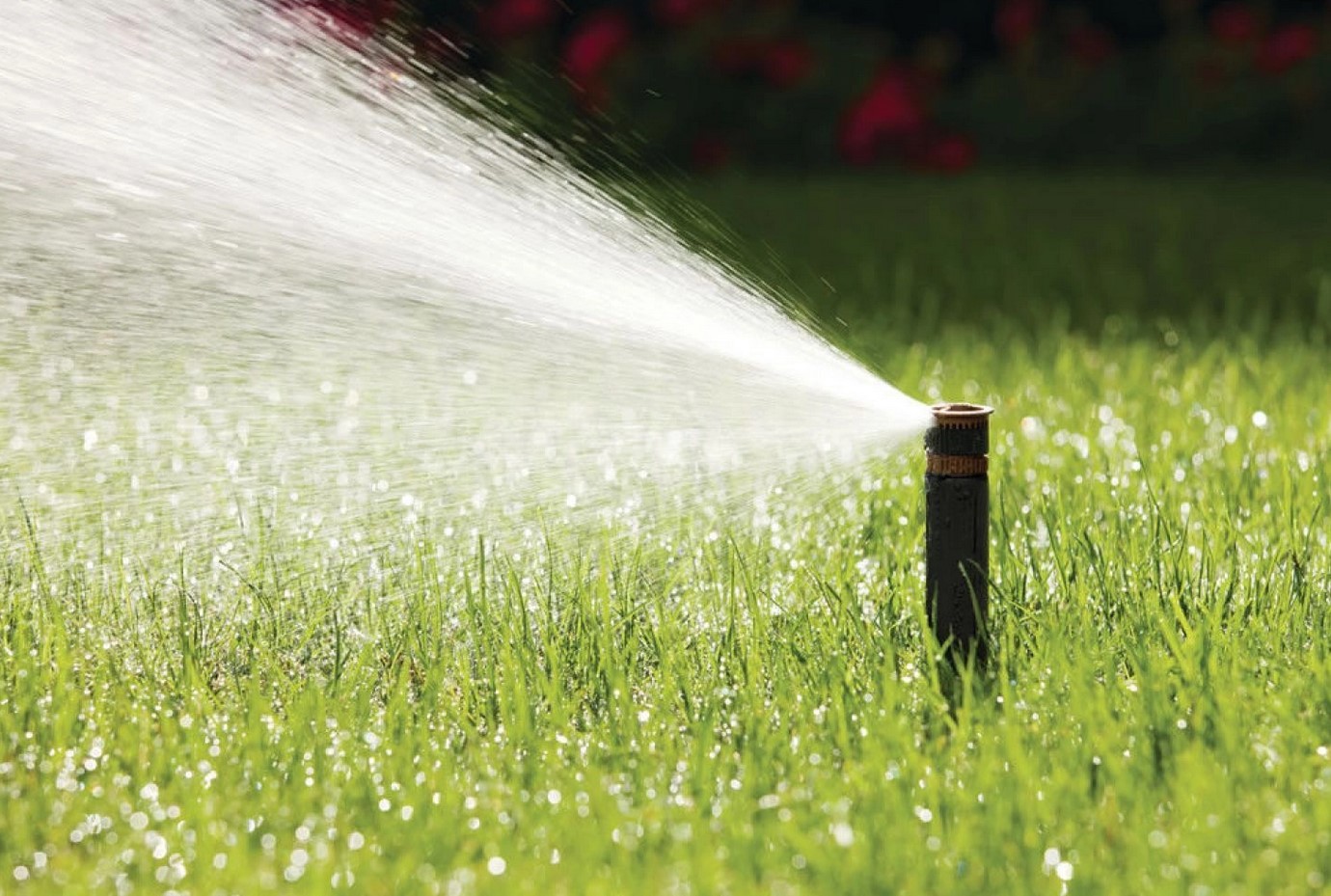 düse bewässerung garten