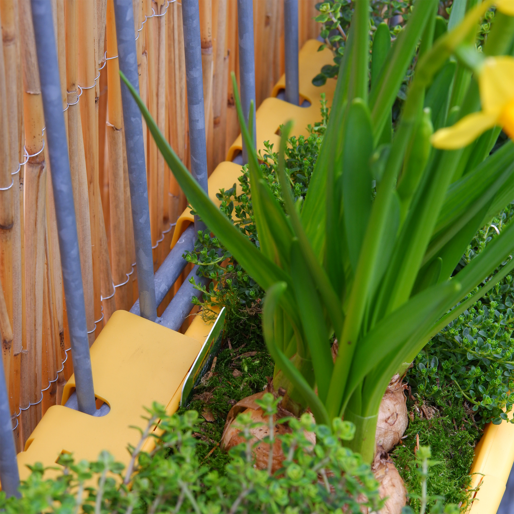 blumenkasten für kräuter auf dem balkon