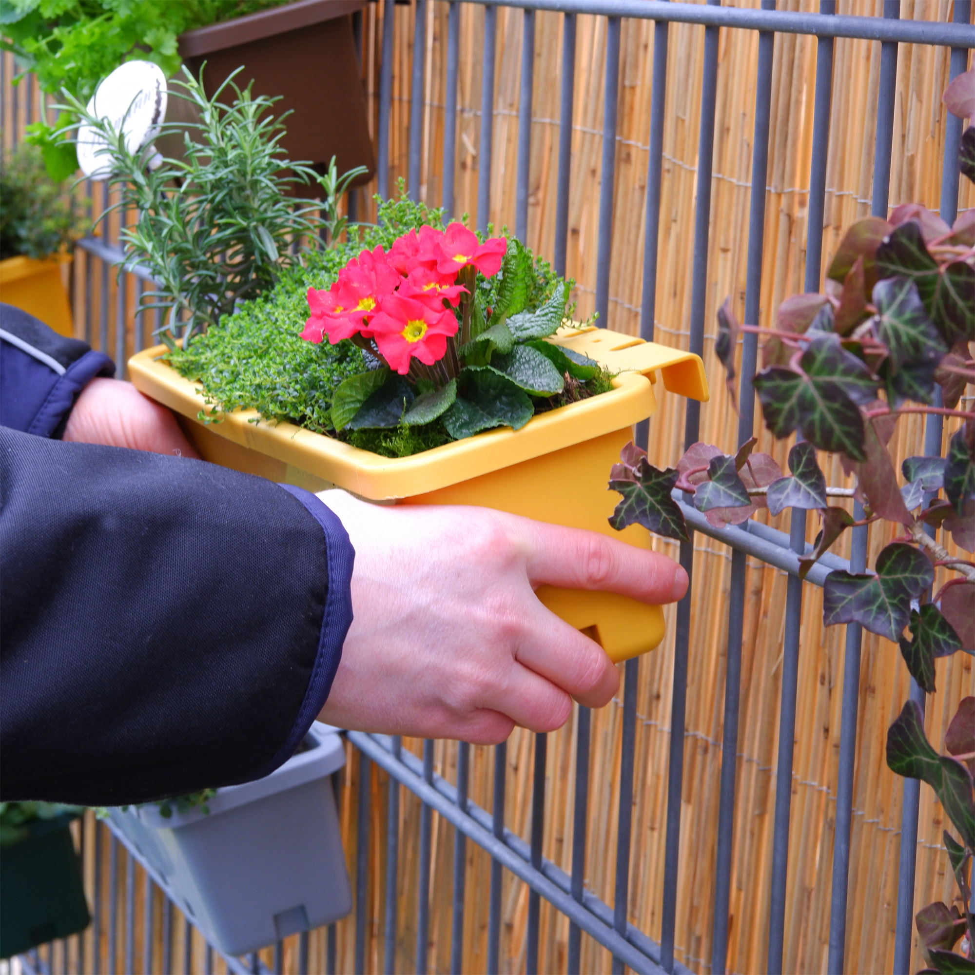 blumenkasten für kräuter auf dem balkon