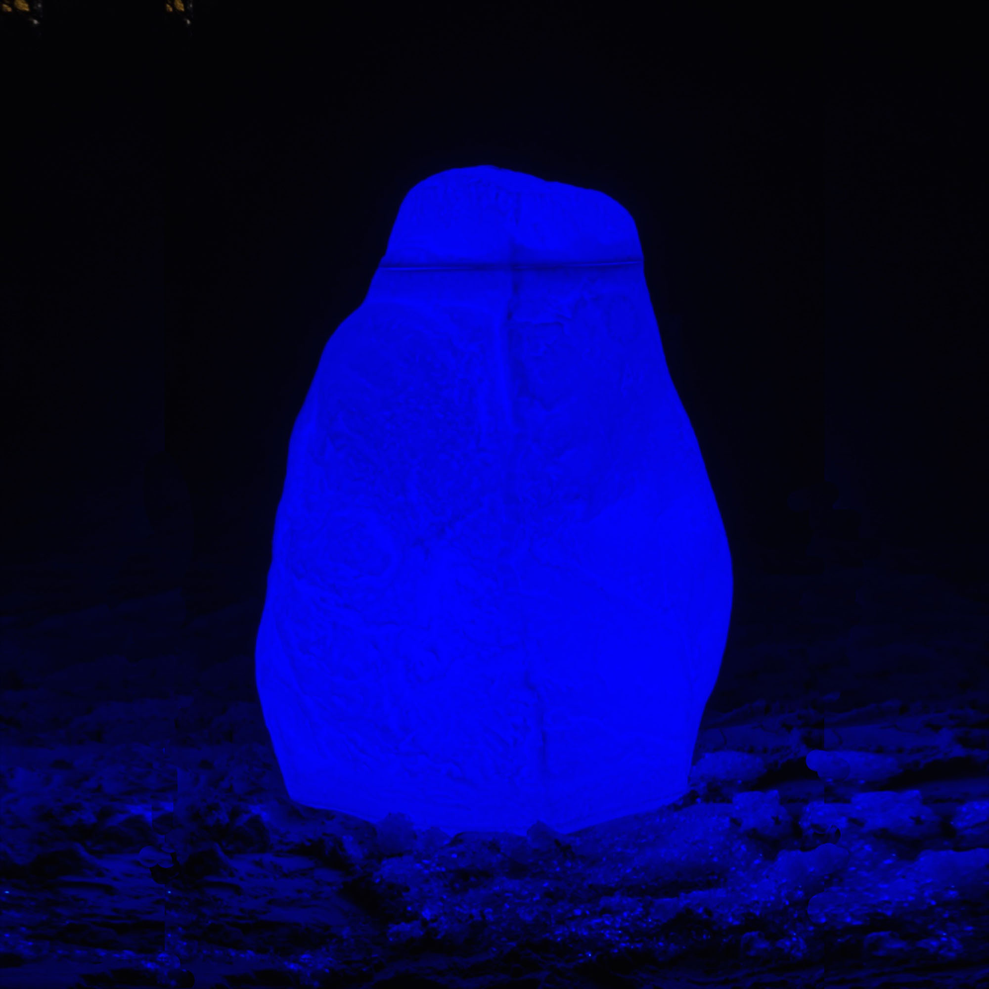 led regentonne dekorativ