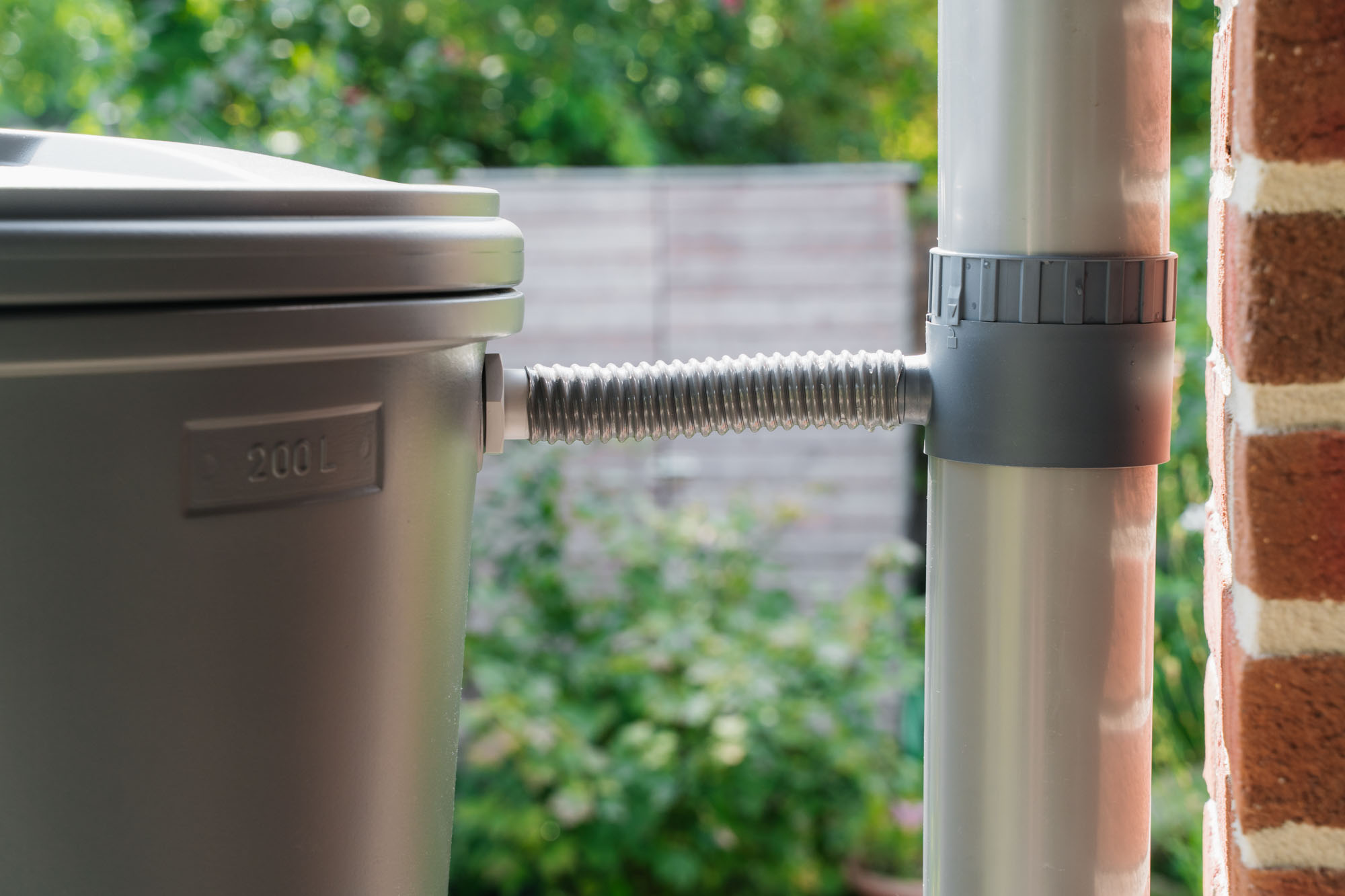 regensammler am fallrohr montiert und mit regentonne verbunden isit