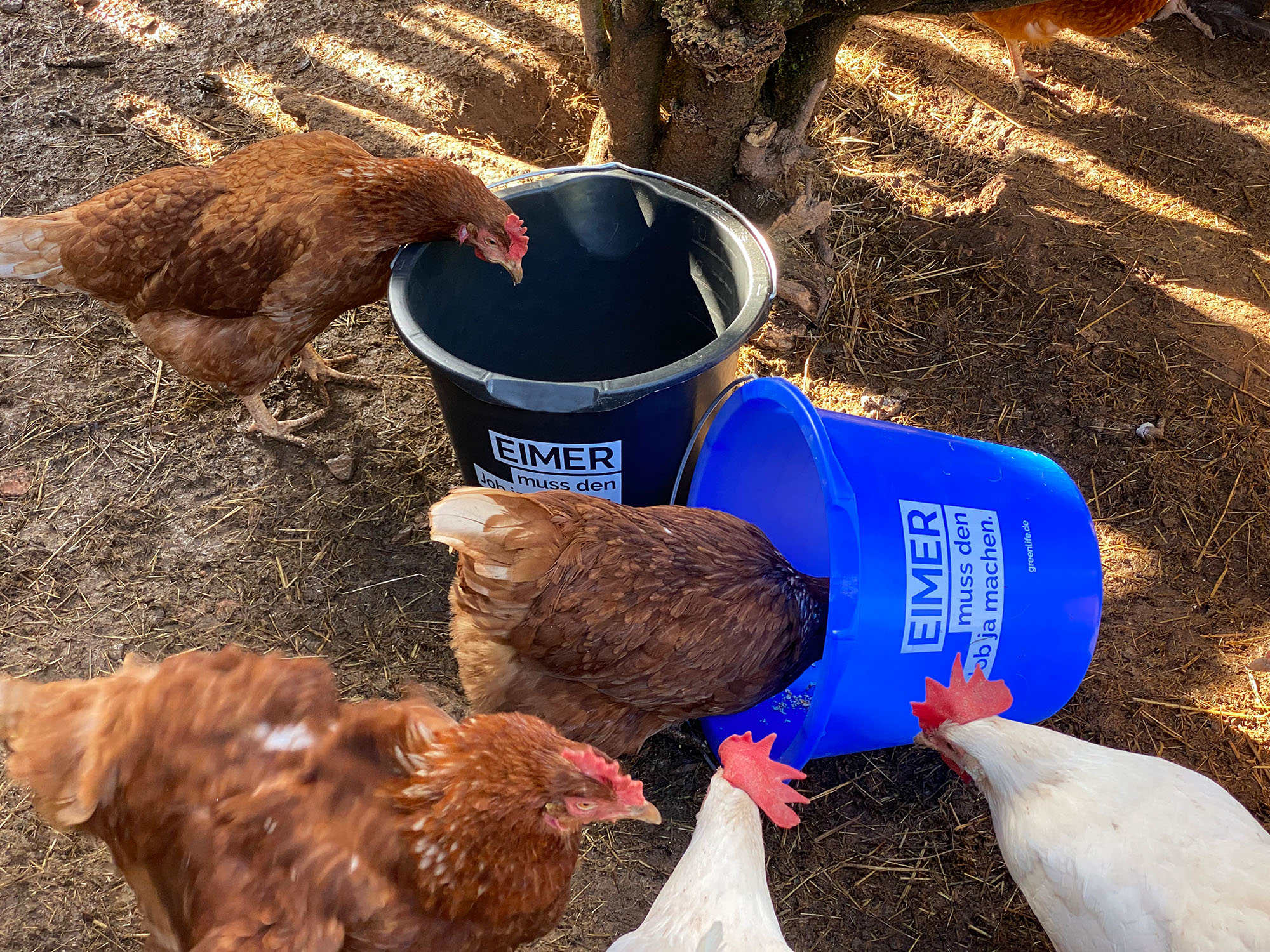eimer mit aufdruck eimmer muss den job ja machen