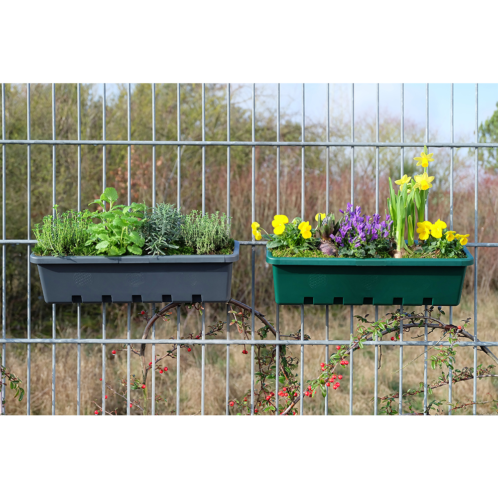 blumenkasten für kräuter auf dem balkon