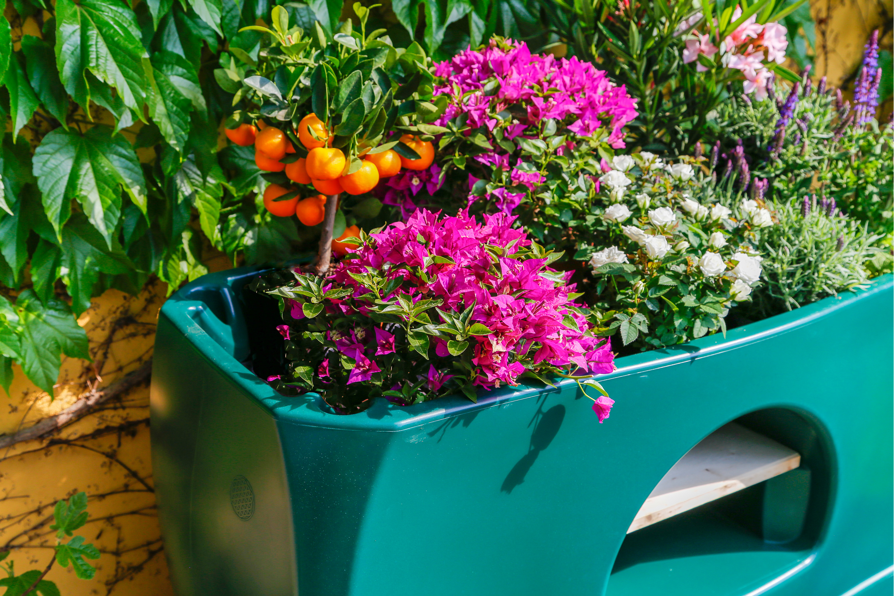 hochbeet garten balkon und bewässerung