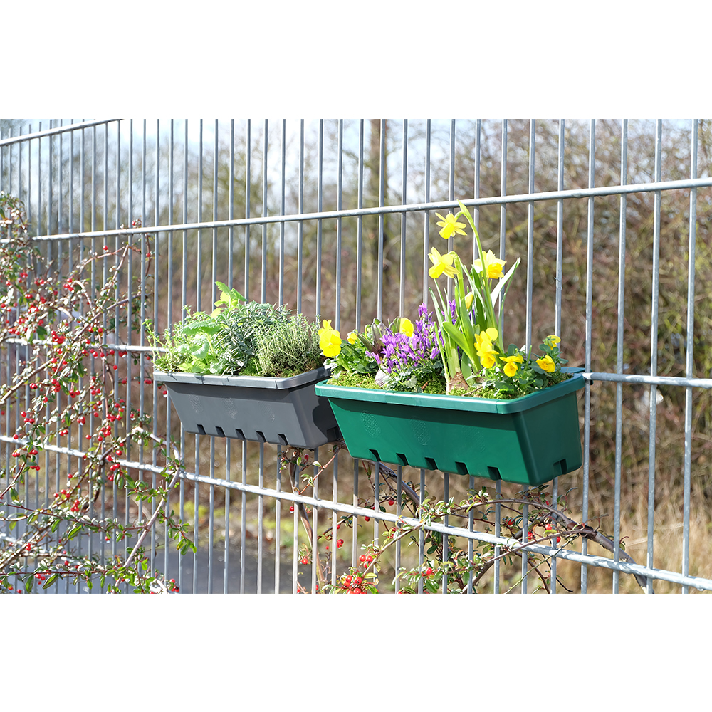 blumenkasten für kräuter auf dem balkon